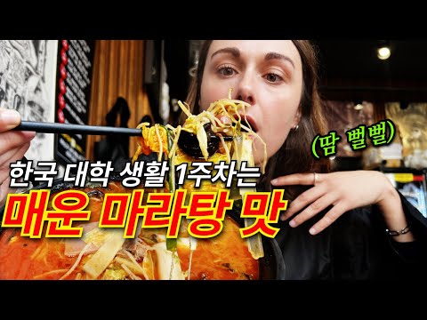 매운 마라탕을 먹으면서 한국 대학 생활의 진실을 화끈하게 밝히는 외국인