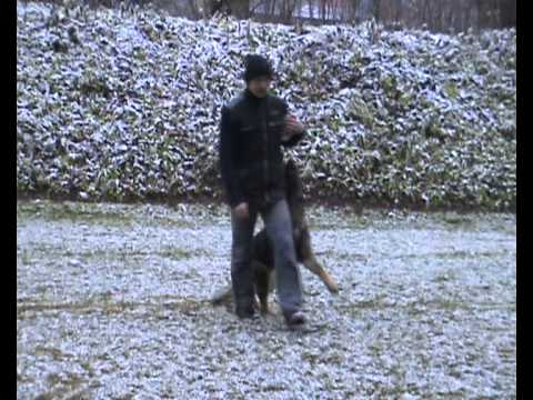 Dex z údolí Úpy - 14 months