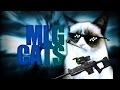 MLG CATS 