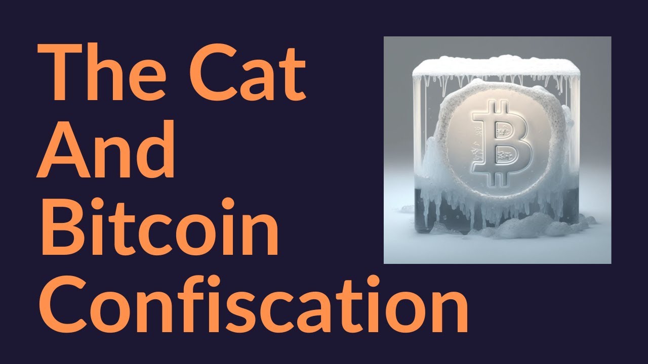 The Cat and Bitcoin Confiscation