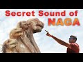 NAGA  - The Reptilian Secret of Sound & Frequency - Ancient Technology in Cambodia?