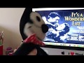 Felix The Cat Watches The THX Logo
