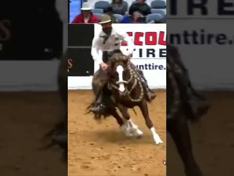 What's Your Dream Job? #Western #aqha #reining #pattern #horses #training #lope #slidingstop