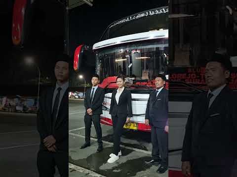 pramugari ngajak dekat drivernya