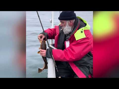 Seter Brygge short fish video