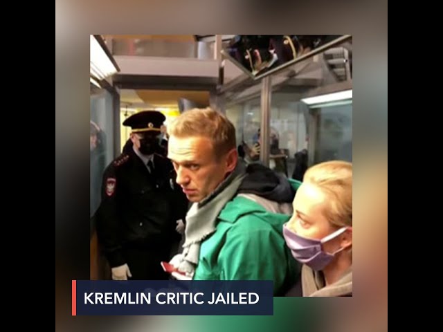 Kremlin critic Alexei Navalny held in infamous Moscow jail