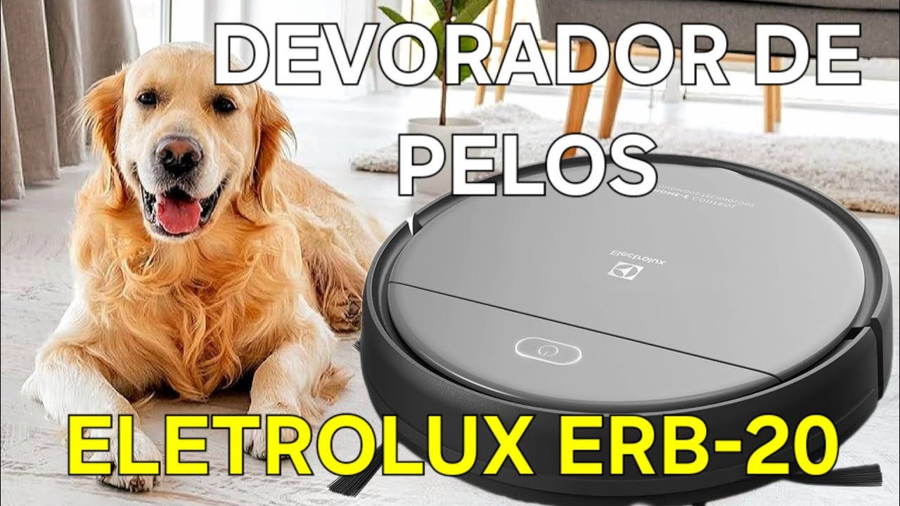 Aspirador Electrolux ERB-20, o devorador de pelos