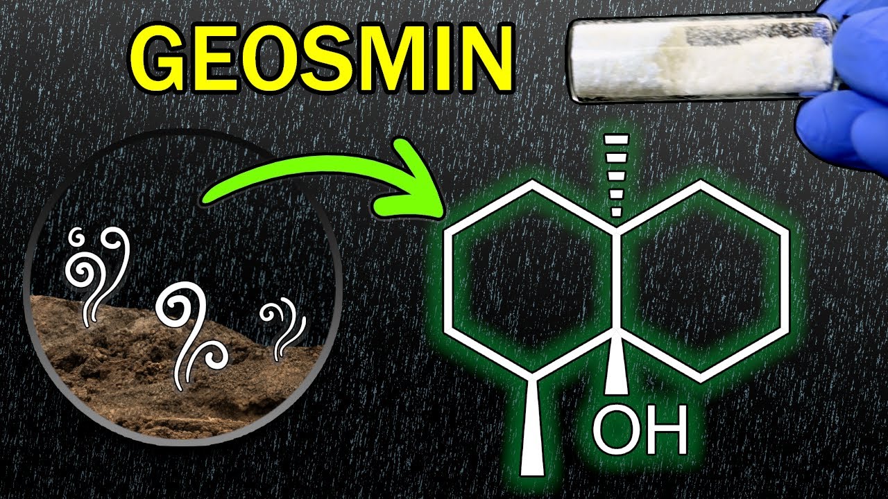 Making the Smell of Rain