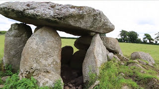West Wicklow Ancient Roots
