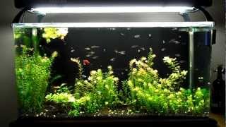 SeaClear System II Update 7 New Lights