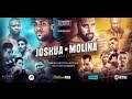 ANTHONY JOSHUA V ERIC MOLINA 10th DECEMBER 2016 MANCHESTER ARENA ENGLAND