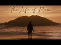 Into The Wild The Life Of Ram 96 Govind Vasantha Pradeep Kumar Tamil Tribute 4K