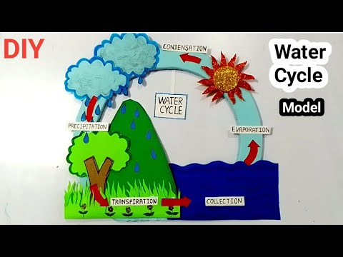 Rang hai Shamil Craft and 2 more