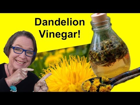 download lagu mp3 mp4 How To Make Dandelion Vinegar, download lagu How To Make Dandelion Vinegar gratis, unduh video klip How To Make Dandelion Vinegar