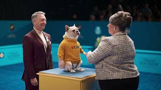 WOW! Get WOW! fiber 1 gig for just $55/mo