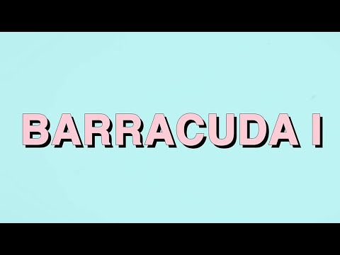 Video thumbnail for Barracuda I