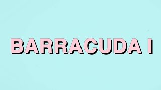 Julien Doré - Barracuda I (Lyrics Video)