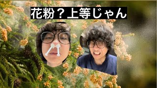 花粉が凄いので鼻毛全て抜いてみた
