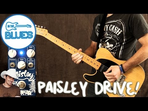 Wampler Paisley Drive 2010s - Blue image 8