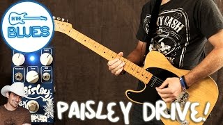 Video thumbnail for Wampler Pedals - The Paisley Signature Overdrive by intheblues