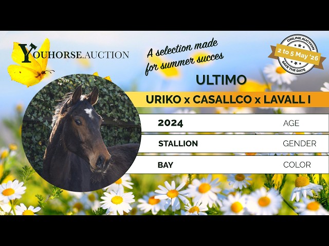 Ultimo