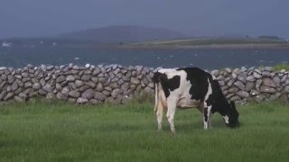Kerrygold Farmer Family - Thomas Mahon, Co. Galway