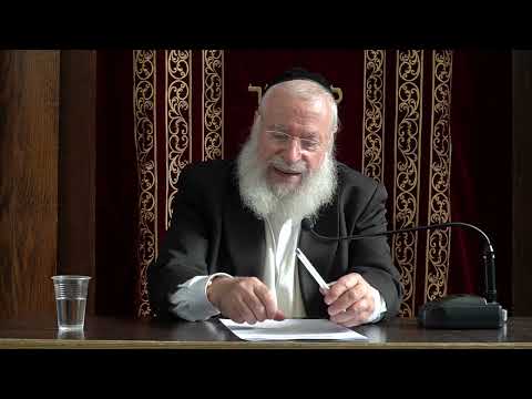 Rav Asher Weiss @TC: Trusting a Non observant Jew B'Kashrus (Parshas Toldos 5786)