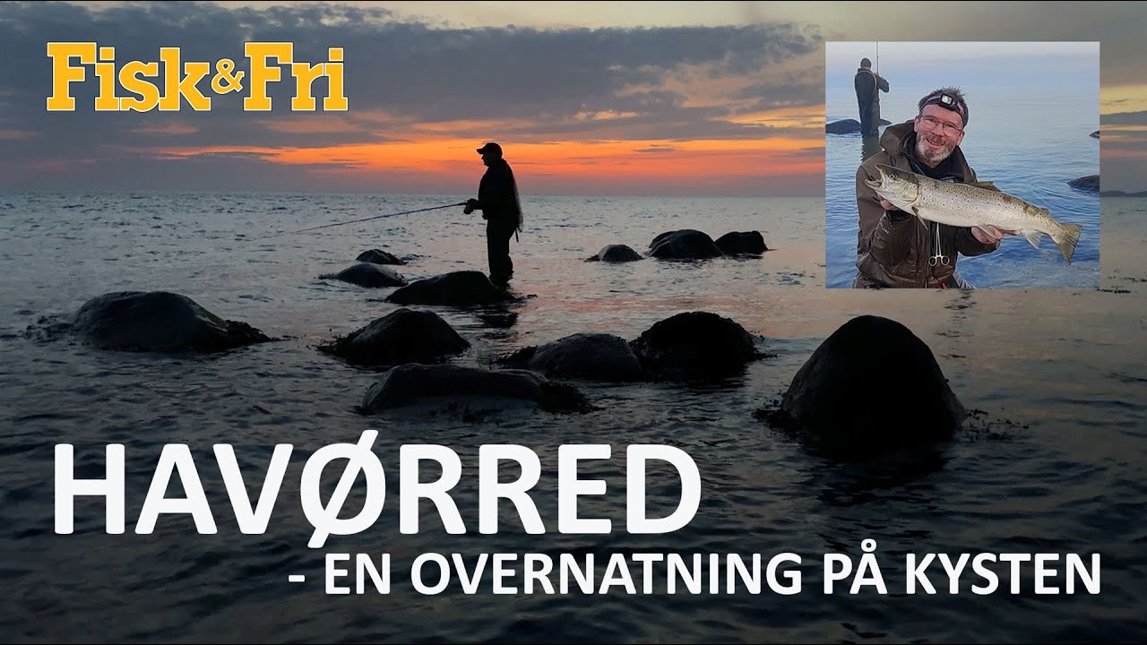NY VIDEO: HAVØRRED – EN OVERNATNING PÅ KYSTEN
