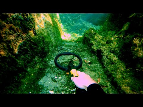Metal Detecting Underwater at Florida Spring! (Treasure Hunting)
