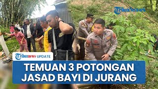Kronologi Temuan Jasad Bayi Termutilasi di Bukittinggi, Saksi Kaget saat Buka Jendela Rumah