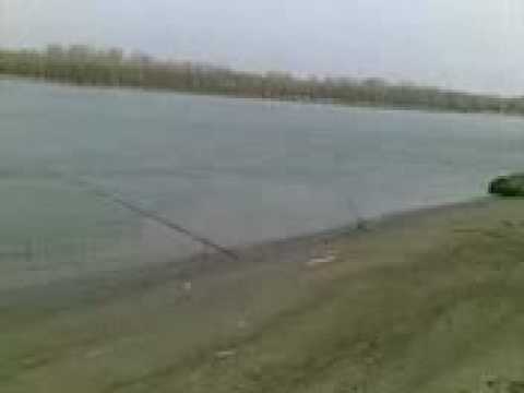 Pescuit la Dunare Giurgeni