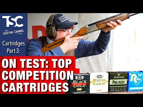 Can Cheap Be Good Enough? .223 Rem Fiocchi 55gr PSP (pointed soft point) Gel Test