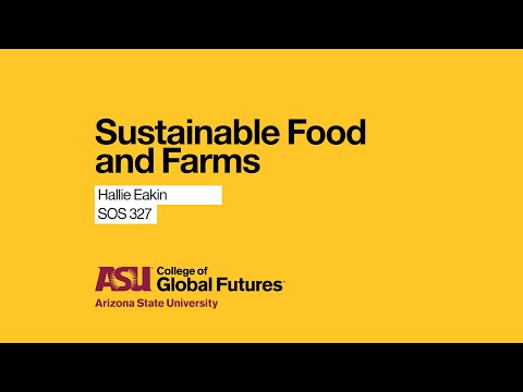 Finding Sustainability in Food