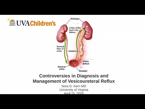 4.15.2020 Urology COViD Didactics - Controversies in Diagnosis and Management of VUR