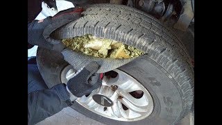 TREASURES FOUND IN UNEXPECTED PLACES