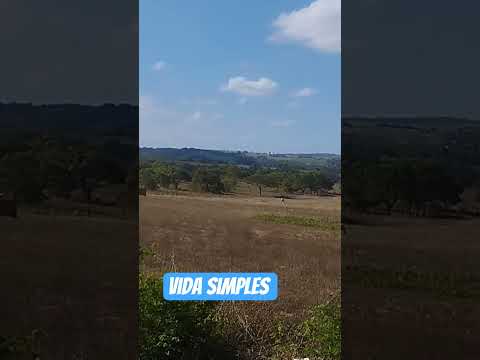 #vida #simples #timbó #Jacaraú #paraiba  #nordeste #brasil