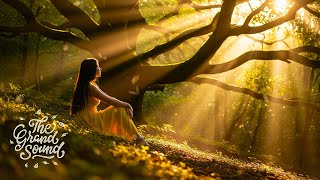 Download lagu 'Secret Garden' - Melodic Progressive House Mix mp3