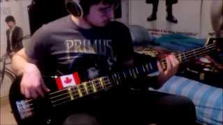 Mind Reflections (Pestilence Bass Cover)