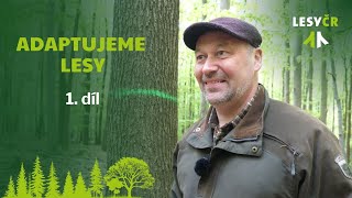 Adaptujeme lesy – 1. díl