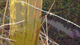 Cocteau Twins -  The Spangle Maker