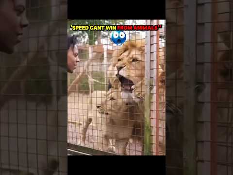 Speed cant win from animals 💀🐆🔥