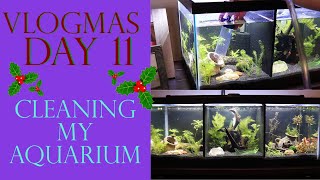 Vlogmas Day 11 | CLEANING MY AQUARIUM
