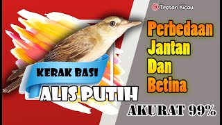 Download lagu How to Distinguish Male and Female White Eyebrow Stale Crust Easily and Accurately! mp3