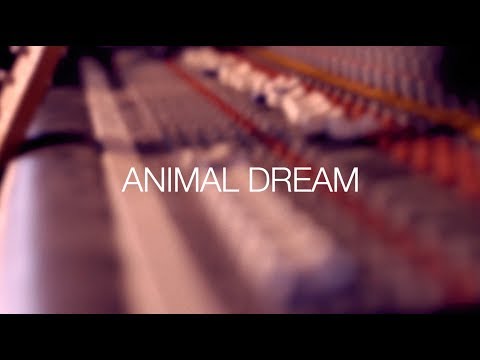 Tito & Tarantula - Animal Dream (Official Teaser)