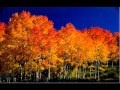 My wife, Nancy, went to Maine with her father in 2001 where she viewed great aspen trees that made a strong impression on her.  These large trees had beautiful colored autumn leaves that made a dry crackling sound as the wind blew through them.  Nancy created the words to this Tag that were inspired by her lasting memory of these beautiful aspen trees.