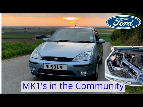 Focus MK1's in the Community - Zetec 1.6!