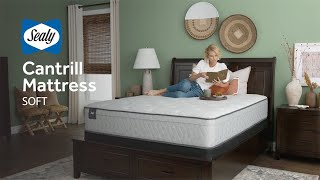 Sealy Cantrill Mattress