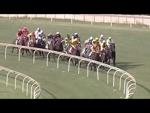 2016.02.27 Gauteng Fillies Guineas (RSA) - Heaps of Fun