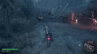 ビビり兎人のDAYS GONE  No12