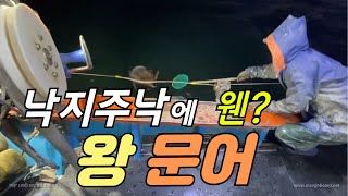 낙지주낙중에 웬 왕문어가? 1편